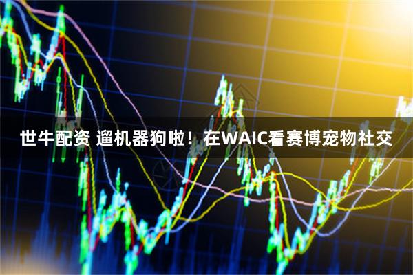 世牛配资 遛机器狗啦！在WAIC看赛博宠物社交