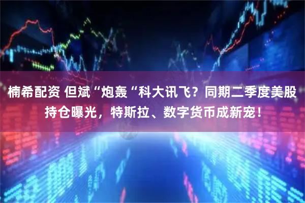 楠希配资 但斌“炮轰“科大讯飞？同期二季度美股持仓曝光，特斯拉、数字货币成新宠！