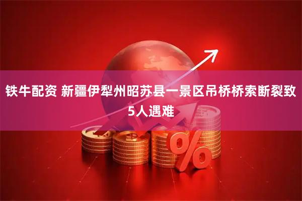 铁牛配资 新疆伊犁州昭苏县一景区吊桥桥索断裂致5人遇难