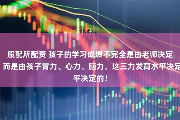股配所配资 孩子的学习成绩不完全是由老师决定的，而是由孩子胃力、心力、脑力，这三力发育水平决定的！