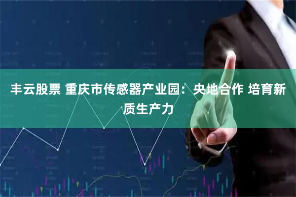 丰云股票 重庆市传感器产业园：央地合作 培育新质生产力
